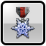 Значок: Holiday Medal