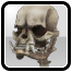 Значок: Reaper's Skeletal Bulldog Skull