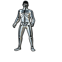 X-ray Skeleton Body
